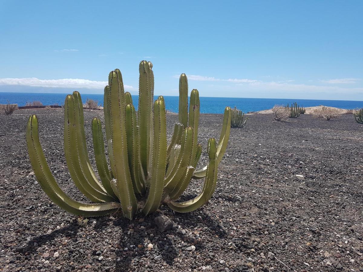 Tenerife Lizards - Duplex In The First Line Callao Salvaje Exterior foto